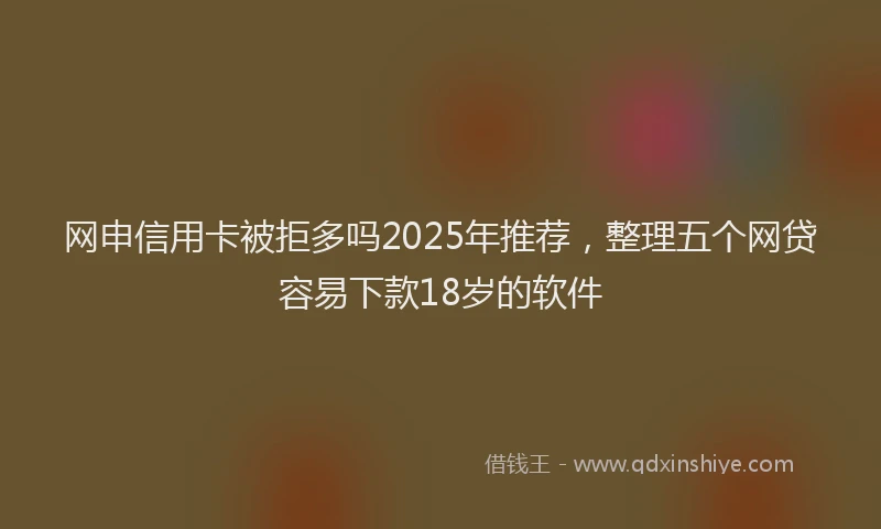 网申信用卡被拒多吗2025年推荐，整理五个网贷容易下款18岁的软件