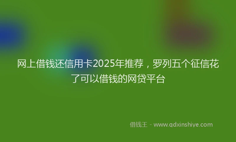 网上借钱还信用卡2025年推荐，罗列五个征信花了可以借钱的网贷平台