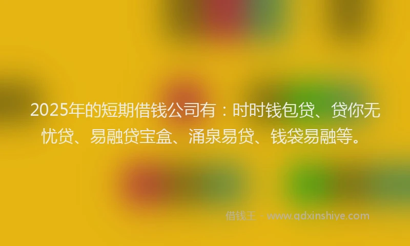 2025年的短期借钱公司有：时时钱包贷、贷你无忧贷、易融贷宝盒、涌泉易贷、钱袋易融等。