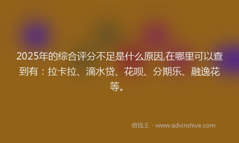 2025年的综合评分不足是什么原因,在哪里可以查到有：拉卡拉、滴水贷、花呗、分期乐、融逸花等。