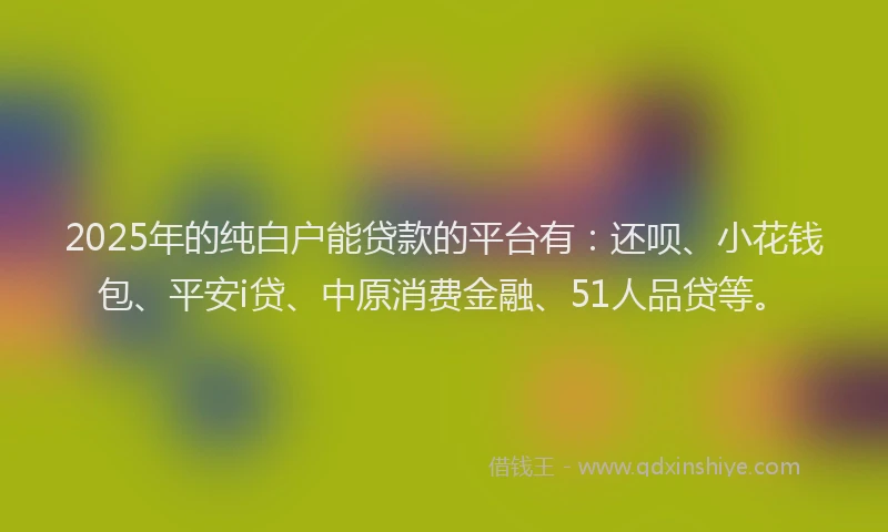 2025年的纯白户能贷款的平台有：还呗、小花钱包、平安i贷、中原消费金融、51人品贷等。