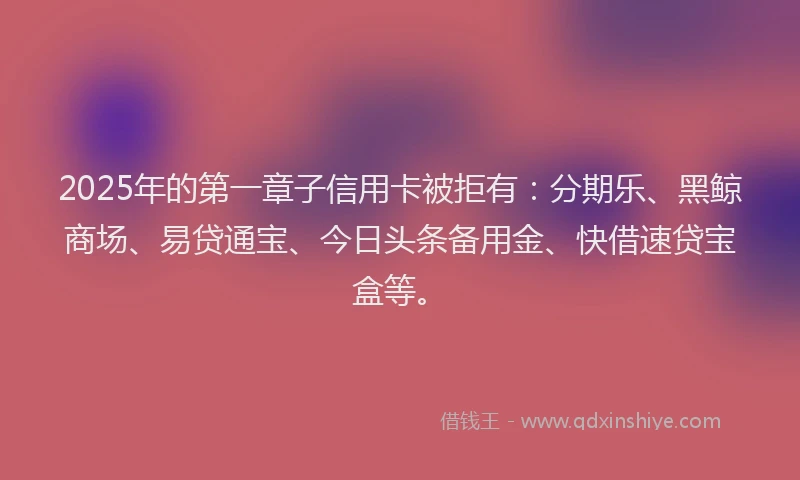 2025年的第一章子信用卡被拒有：分期乐、黑鲸商场、易贷通宝、今日头条备用金、快借速贷宝盒等。