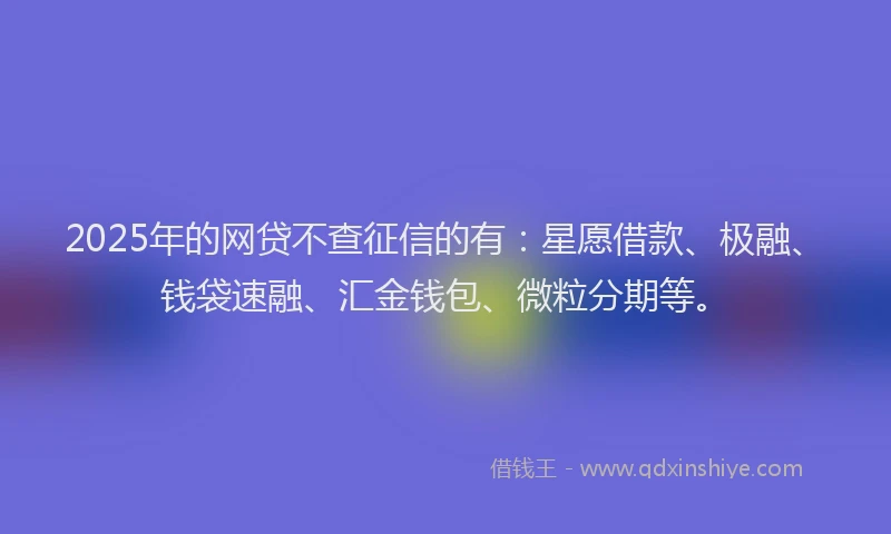 2025年的网贷不查征信的有：星愿借款、极融、钱袋速融、汇金钱包、微粒分期等。