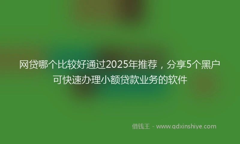网贷哪个比较好通过2025年推荐，分享5个黑户可快速办理小额贷款业务的软件