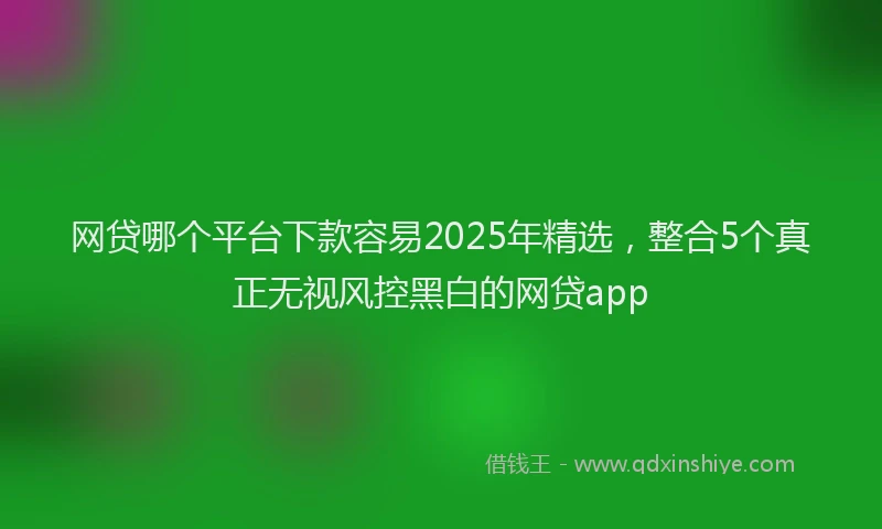 网贷哪个平台下款容易2025年精选，整合5个真正无视风控黑白的网贷app