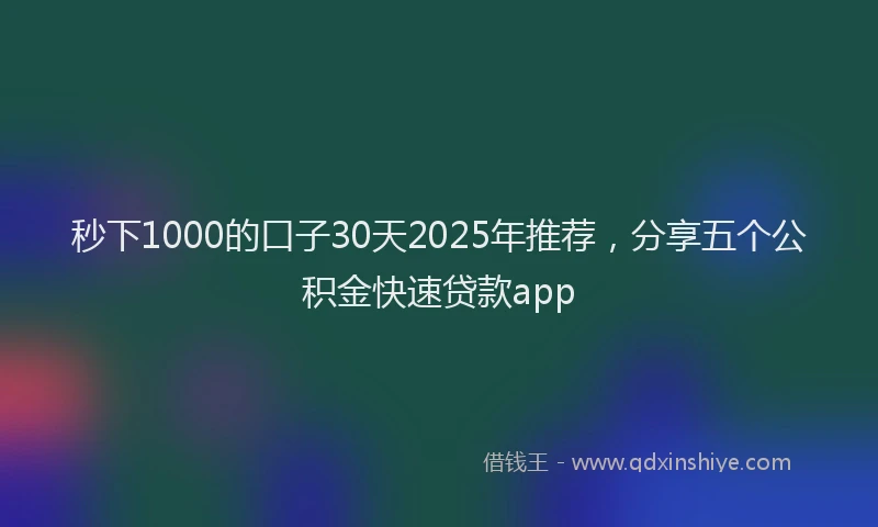 秒下1000的口子30天2025年推荐，分享五个公积金快速贷款app