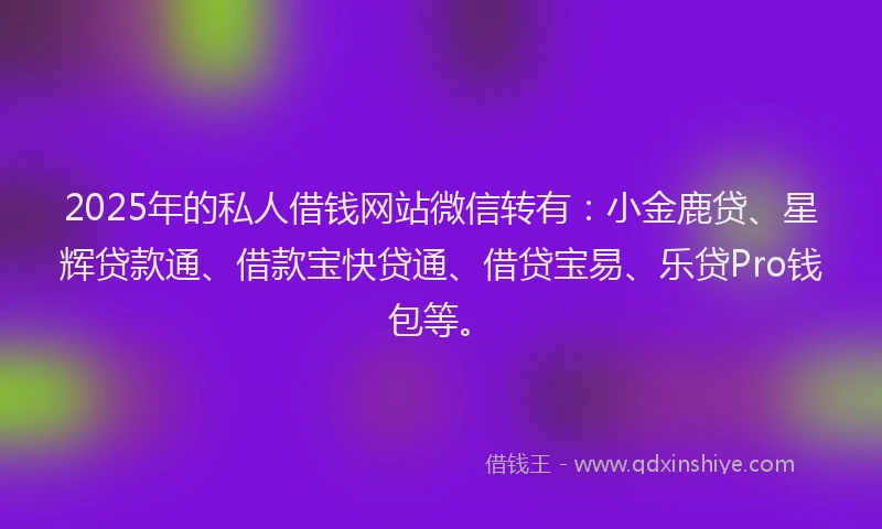 2025年的私人借钱网站微信转有：小金鹿贷、星辉贷款通、借款宝快贷通、借贷宝易、乐贷Pro钱包等。