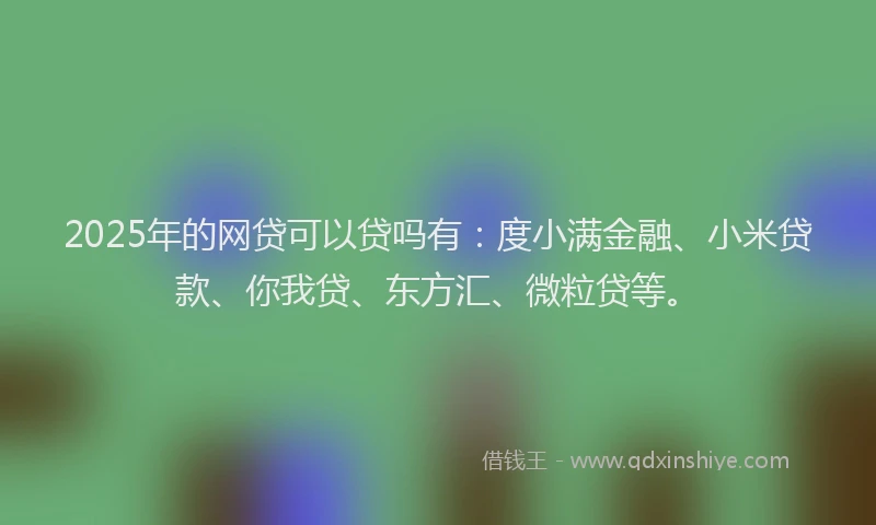 2025年的网贷可以贷吗有：度小满金融、小米贷款、你我贷、东方汇、微粒贷等。