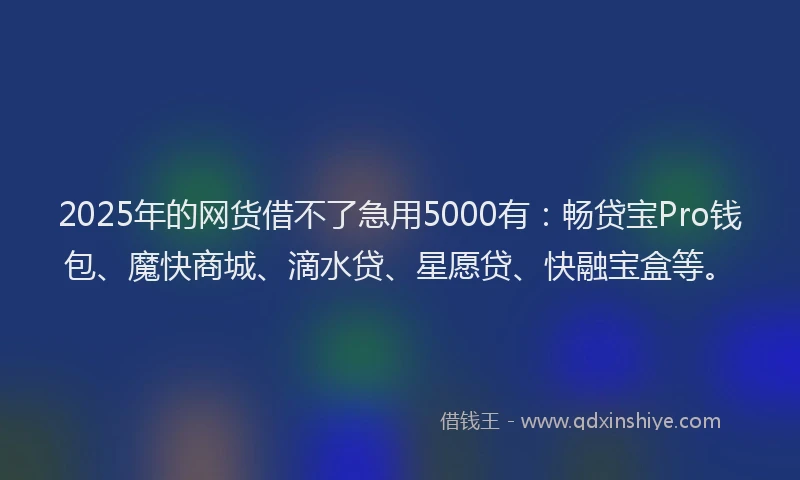2025年的网货借不了急用5000有：畅贷宝Pro钱包、魔快商城、滴水贷、星愿贷、快融宝盒等。