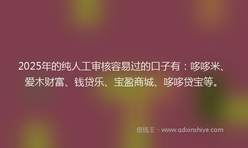 2025年的纯人工审核容易过的口子有：哆哆米、爱木财富、钱贷乐、宝盈商城、哆哆贷宝等。