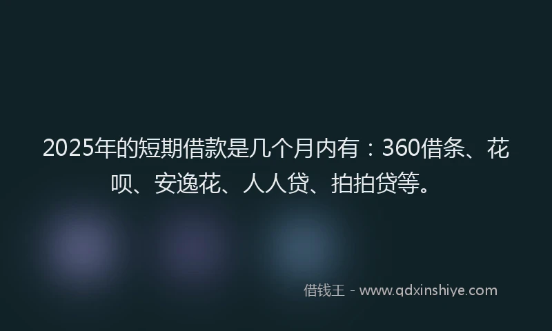 2025年的短期借款是几个月内有：360借条、花呗、安逸花、人人贷、拍拍贷等。