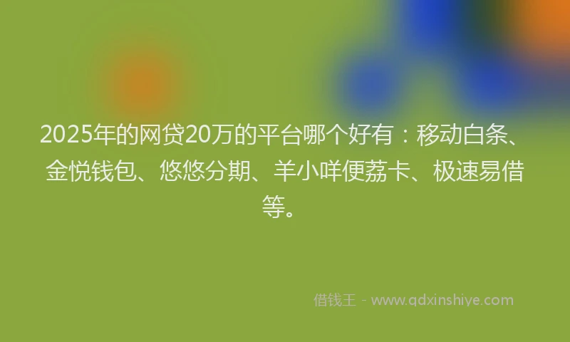 2025年的网贷20万的平台哪个好有：移动白条、金悦钱包、悠悠分期、羊小咩便荔卡、极速易借等。