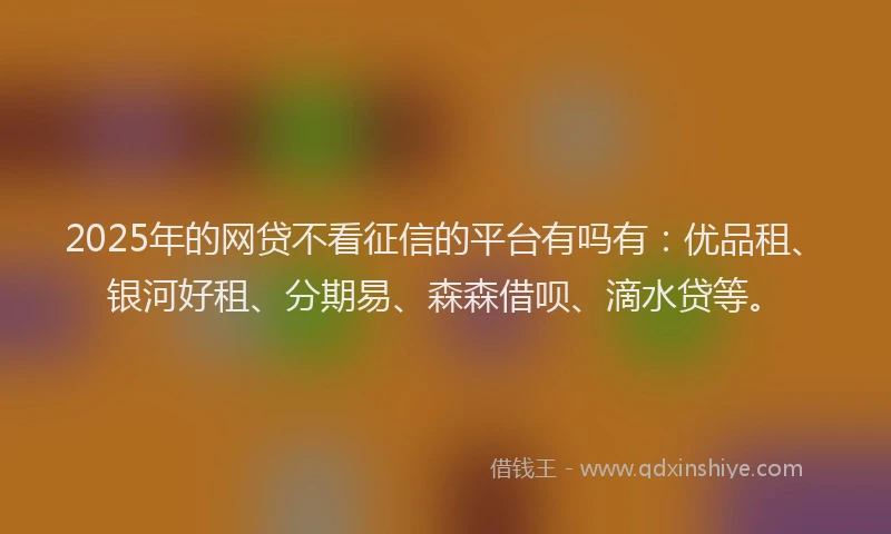 2025年的网贷不看征信的平台有吗有：优品租、银河好租、分期易、森森借呗、滴水贷等。