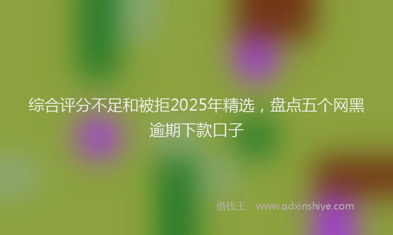 综合评分不足和被拒2025年精选，盘点五个网黑逾期下款口子