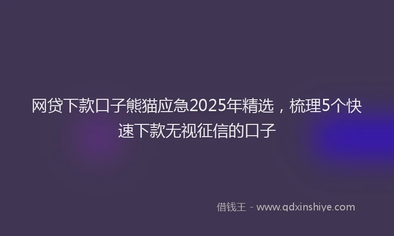 网贷下款口子熊猫应急2025年精选，梳理5个快速下款无视征信的口子