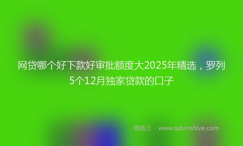 网贷哪个好下款好审批额度大2025年精选，罗列5个12月独家贷款的口子