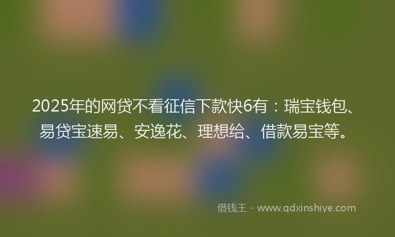 2025年的网贷不看征信下款快6有：瑞宝钱包、易贷宝速易、安逸花、理想给、借款易宝等。