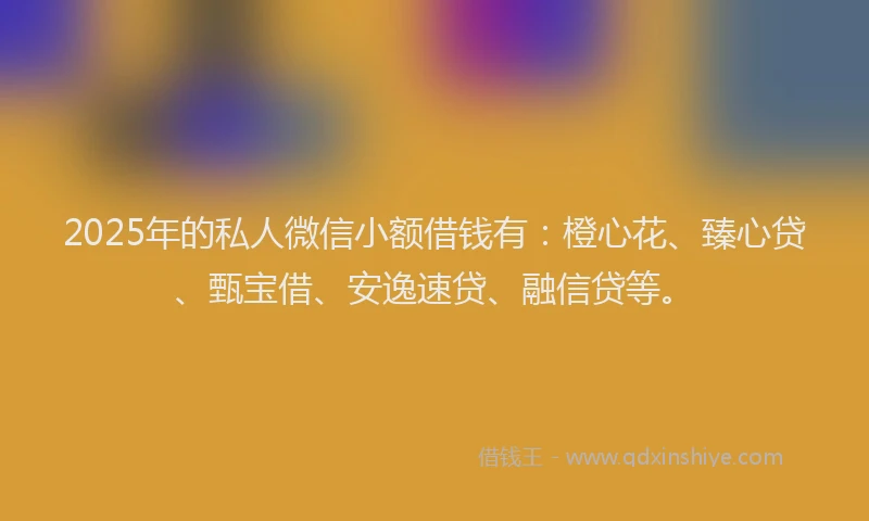 2025年的私人微信小额借钱有：橙心花、臻心贷、甄宝借、安逸速贷、融信贷等。