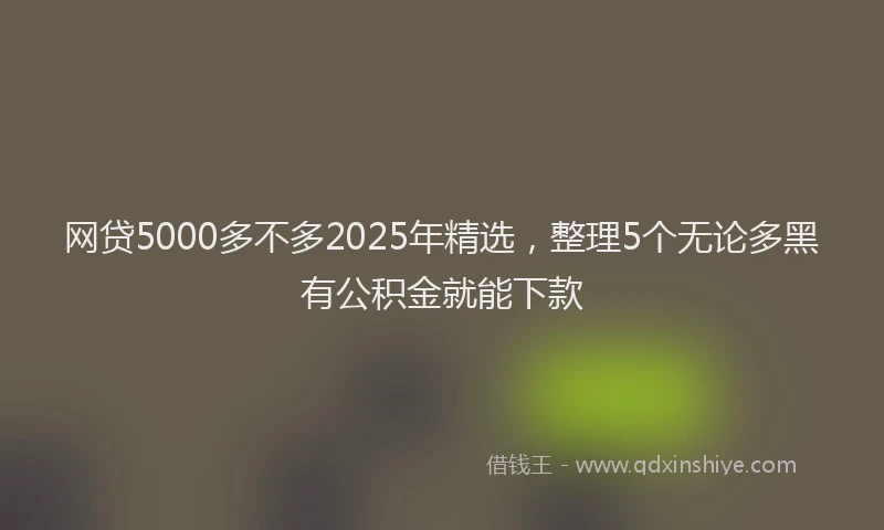 网贷5000多不多2025年精选，整理5个无论多黑有公积金就能下款