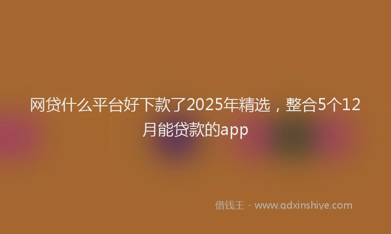网贷什么平台好下款了2025年精选，整合5个12月能贷款的app