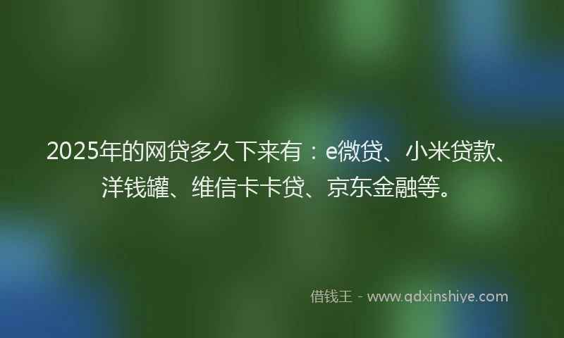 2025年的网贷多久下来有：e微贷、小米贷款、洋钱罐、维信卡卡贷、京东金融等。