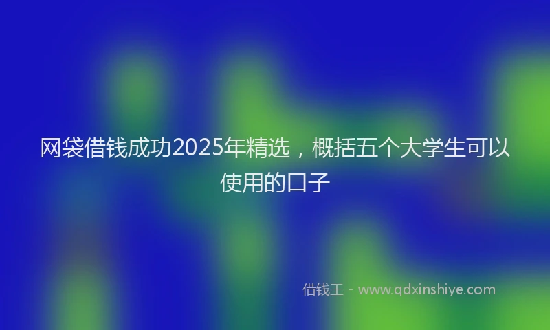 网袋借钱成功2025年精选，概括五个大学生可以使用的口子
