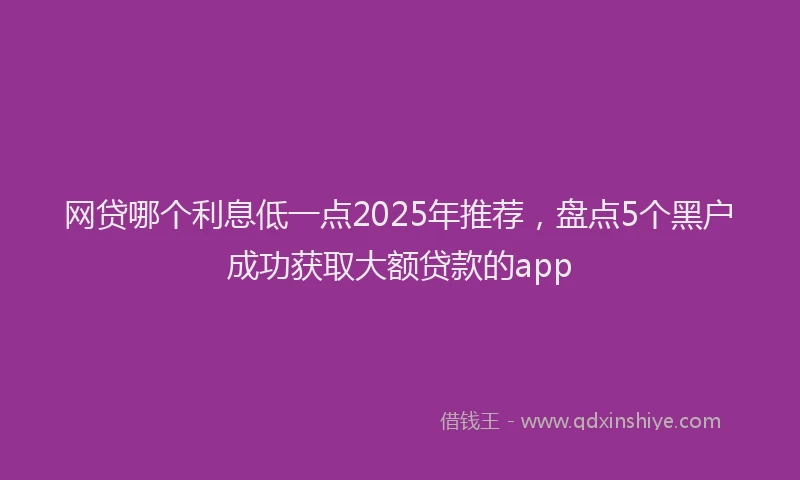 网贷哪个利息低一点2025年推荐，盘点5个黑户成功获取大额贷款的app