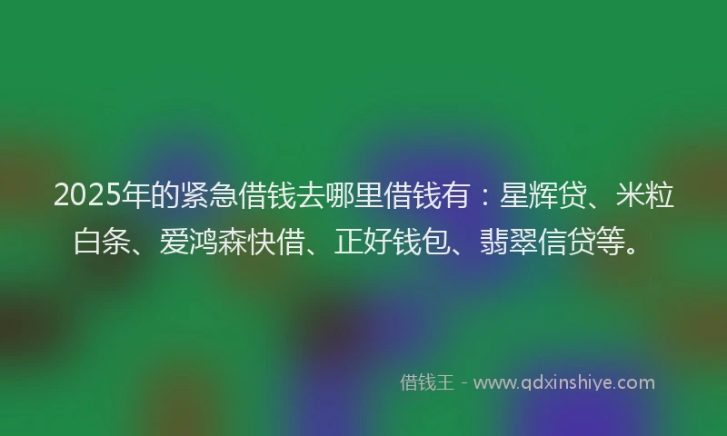 2025年的紧急借钱去哪里借钱有：星辉贷、米粒白条、爱鸿森快借、正好钱包、翡翠信贷等。
