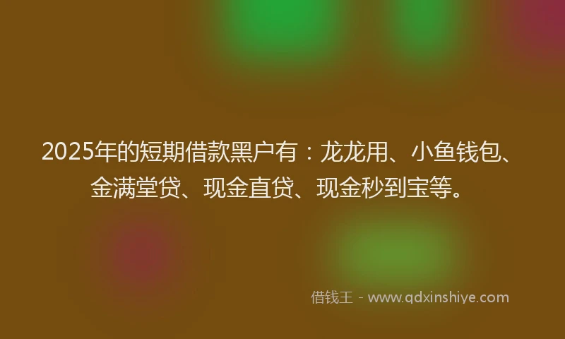 2025年的短期借款黑户有：龙龙用、小鱼钱包、金满堂贷、现金直贷、现金秒到宝等。