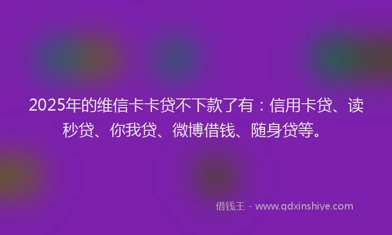 2025年的维信卡卡贷不下款了有：信用卡贷、读秒贷、你我贷、微博借钱、随身贷等。