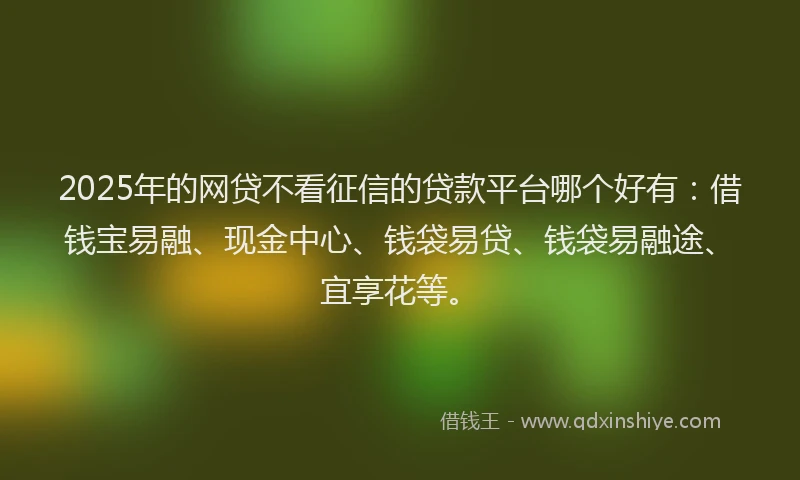 2025年的网贷不看征信的贷款平台哪个好有：借钱宝易融、现金中心、钱袋易贷、钱袋易融途、宜享花等。