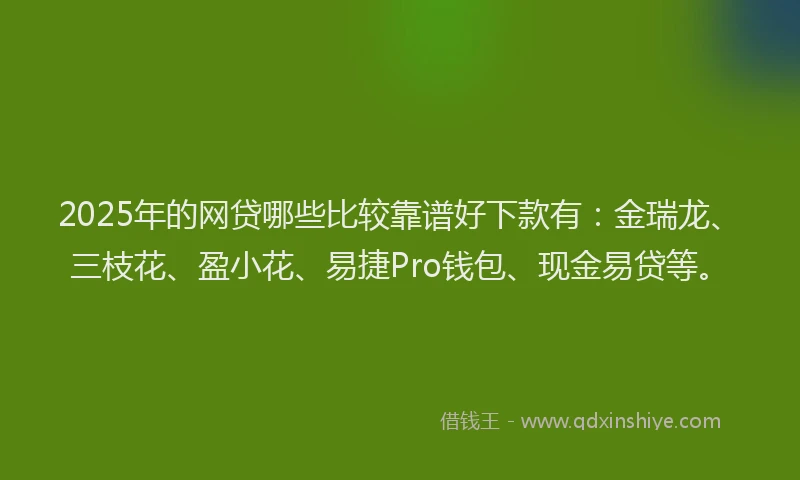 2025年的网贷哪些比较靠谱好下款有：金瑞龙、三枝花、盈小花、易捷Pro钱包、现金易贷等。