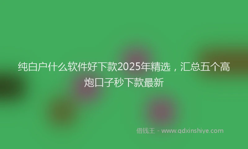 纯白户什么软件好下款2025年精选，汇总五个高炮口子秒下款最新