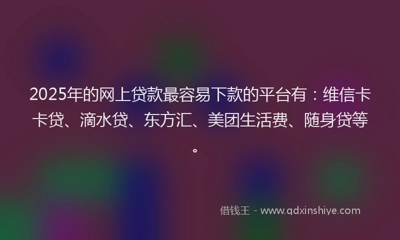 2025年的网上贷款最容易下款的平台有：维信卡卡贷、滴水贷、东方汇、美团生活费、随身贷等。