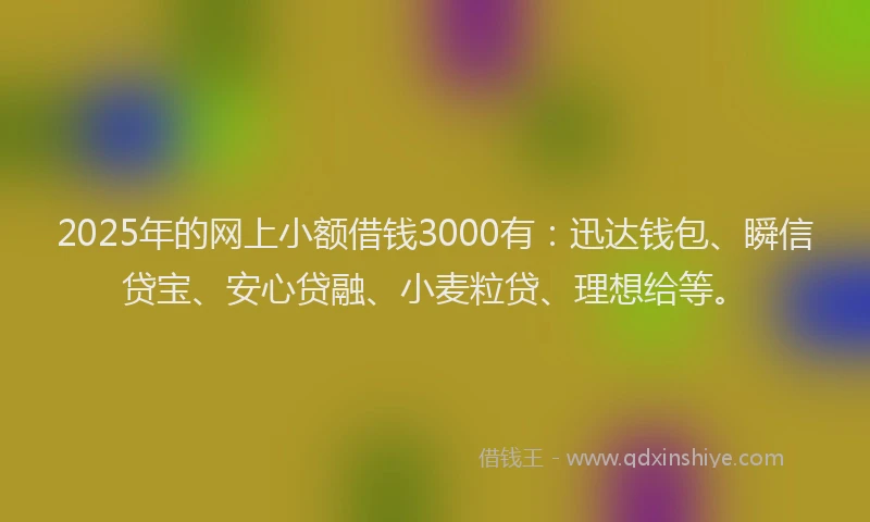 2025年的网上小额借钱3000有：迅达钱包、瞬信贷宝、安心贷融、小麦粒贷、理想给等。