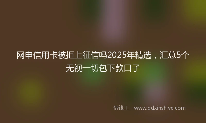 网申信用卡被拒上征信吗2025年精选，汇总5个无视一切包下款口子
