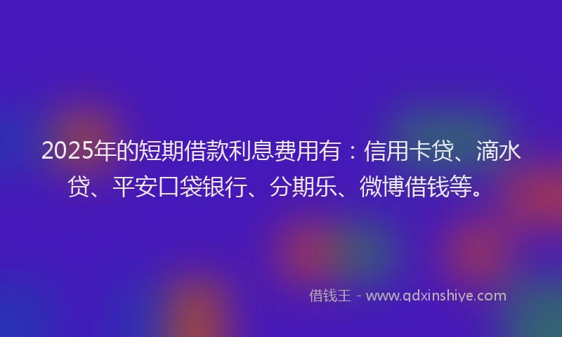 2025年的短期借款利息费用有：信用卡贷、滴水贷、平安口袋银行、分期乐、微博借钱等。
