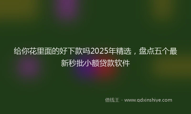 给你花里面的好下款吗2025年精选，盘点五个最新秒批小额贷款软件