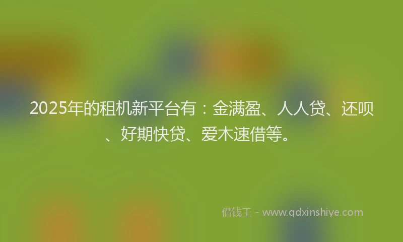 2025年的租机新平台有：金满盈、人人贷、还呗、好期快贷、爱木速借等。