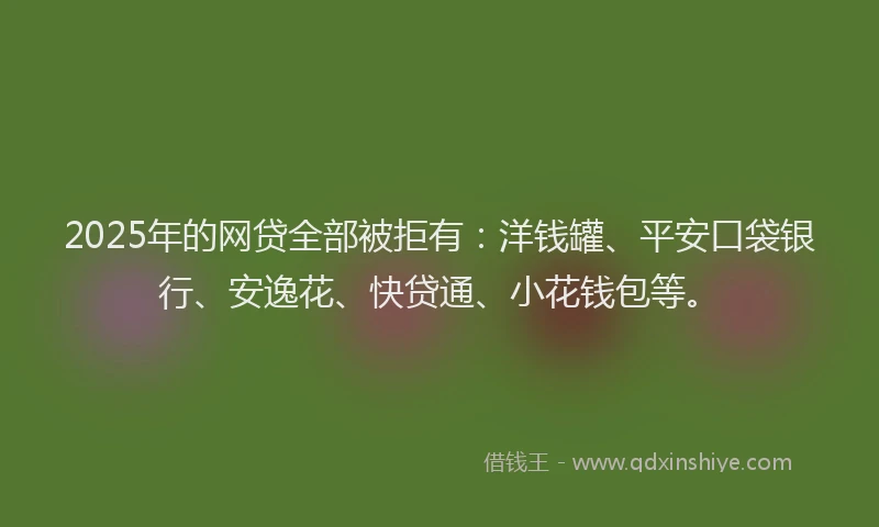 2025年的网贷全部被拒有：洋钱罐、平安口袋银行、安逸花、快贷通、小花钱包等。