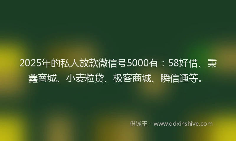 2025年的私人放款微信号5000有：58好借、秉鑫商城、小麦粒贷、极客商城、瞬信通等。
