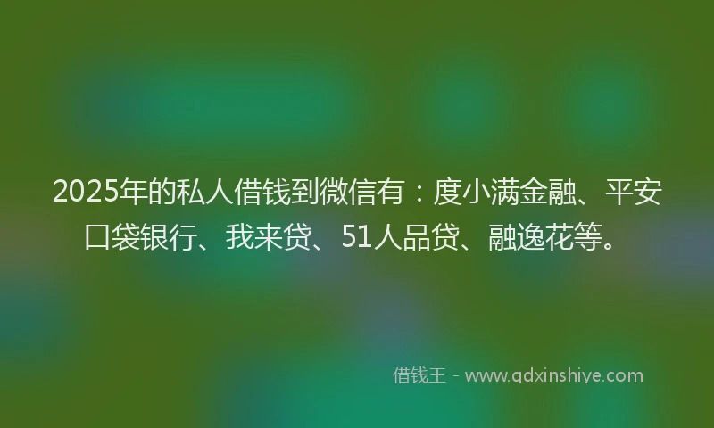 2025年的私人借钱到微信有：度小满金融、平安口袋银行、我来贷、51人品贷、融逸花等。