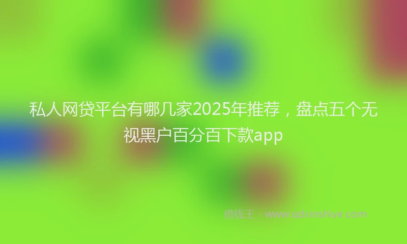 私人网贷平台有哪几家2025年推荐，盘点五个无视黑户百分百下款app