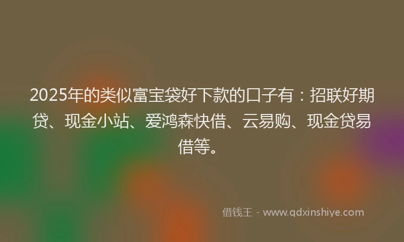 2025年的类似富宝袋好下款的口子有：招联好期贷、现金小站、爱鸿森快借、云易购、现金贷易借等。