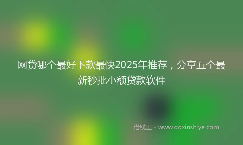 网贷哪个最好下款最快2025年推荐，分享五个最新秒批小额贷款软件