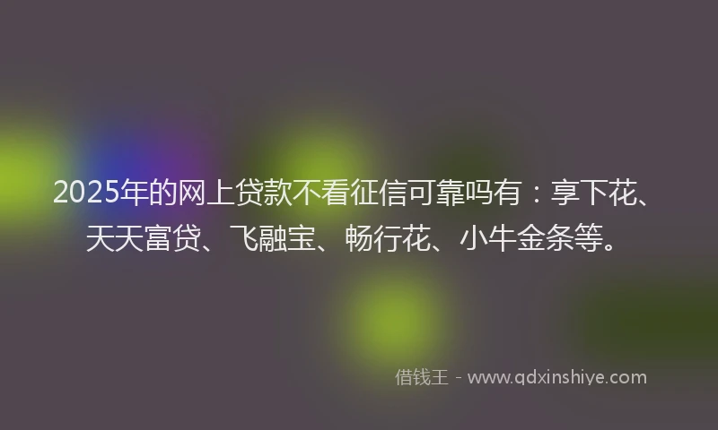 2025年的网上贷款不看征信可靠吗有：享下花、天天富贷、飞融宝、畅行花、小牛金条等。