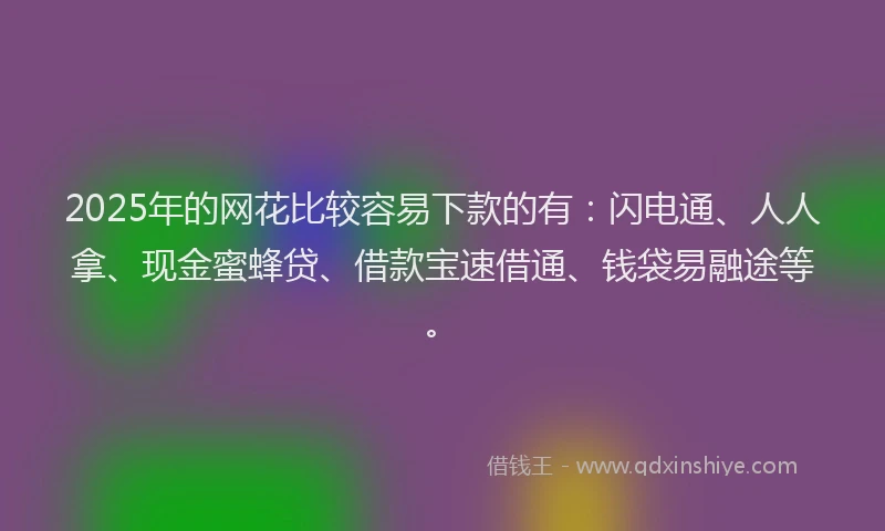 2025年的网花比较容易下款的有:闪电通、人人拿、现金蜜蜂贷、借款宝速借通、钱袋易融途等。