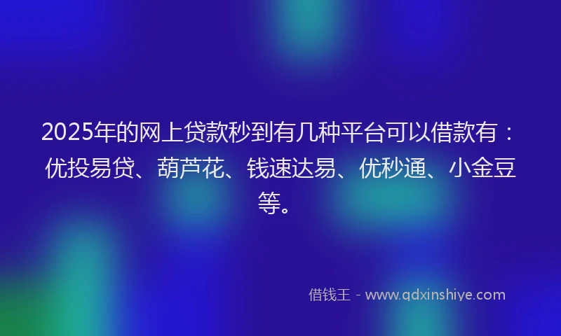 2025年的网上贷款秒到有几种平台可以借款有：优投易贷、葫芦花、钱速达易、优秒通、小金豆等。