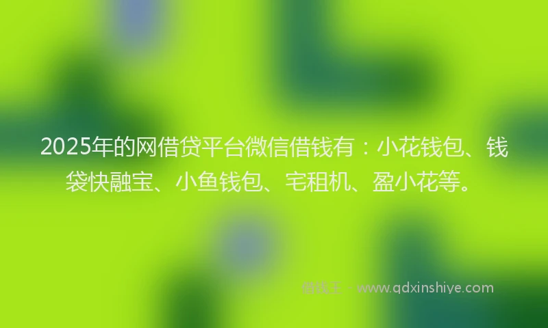 2025年的网借贷平台微信借钱有：小花钱包、钱袋快融宝、小鱼钱包、宅租机、盈小花等。