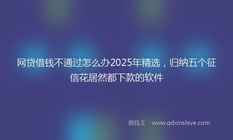 网贷借钱不通过怎么办2025年精选，归纳五个征信花居然都下款的软件